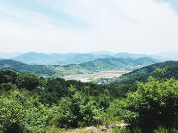 Scenic view of landscape against sky