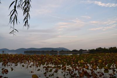 Scenic view of lake against sky during sunset