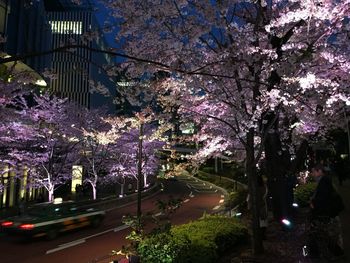 City street at night