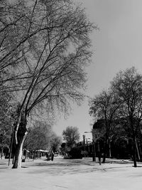 Bare trees on snow covered street against sky