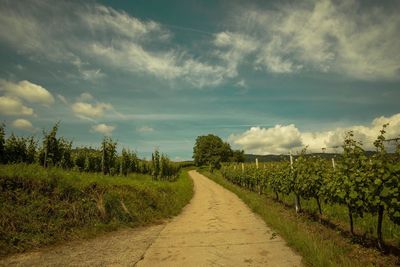 Road passing through field