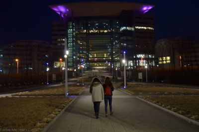 Rear view of people on illuminated city at night