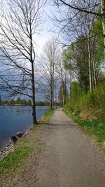 Empty road along trees