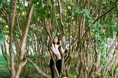 Woman in a forest