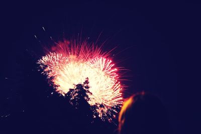 Low angle view of firework display at night