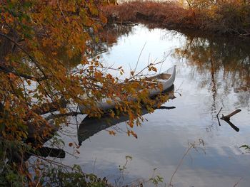 Reflection of tree in lake during autumn