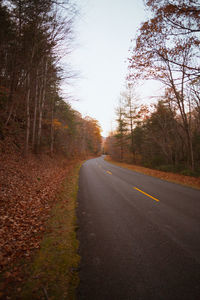 Road amidst trees against sky during autumn