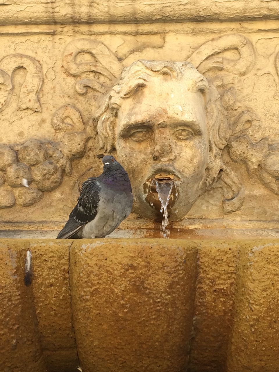 STATUE OF MAN AND FOUNTAIN