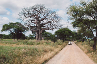 Road amidst baobab against sky