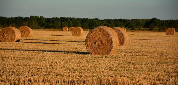 Hay bales on field against sky