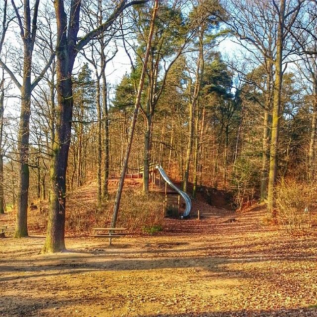 Waldspielplatz