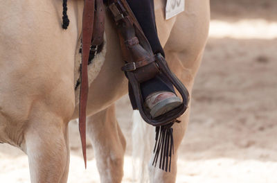 Low section of person riding horse