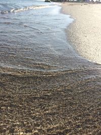 Close-up of sea shore