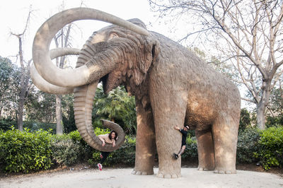 View of elephant in park