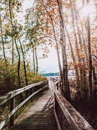 Walkway amidst trees against sky