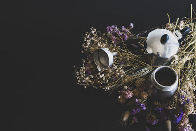 High angle view of purple flowering plant on table against black background