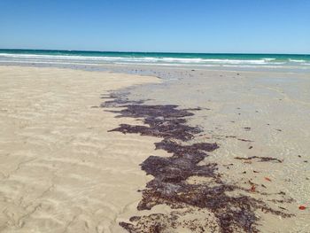 Scenic view of beach against clear sky