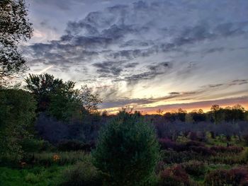 Scenic view of field against sky during sunset