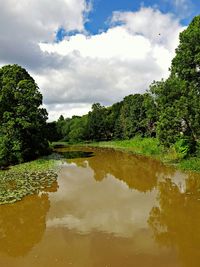 Scenic view of river in forest against sky