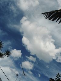 Low angle view of palm tree against cloudy sky