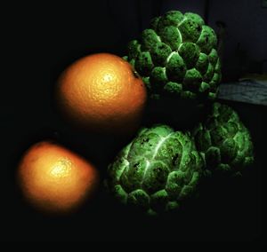 Close-up of illuminated eggs