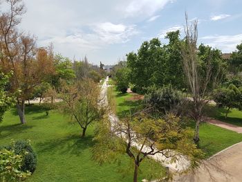 Trees in park against sky