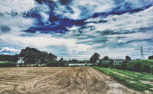 Scenic view of agricultural field against sky