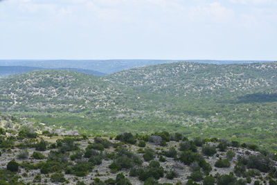 Scenic view of landscape against sky