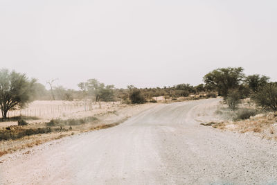 Dirt road amidst trees against clear sky