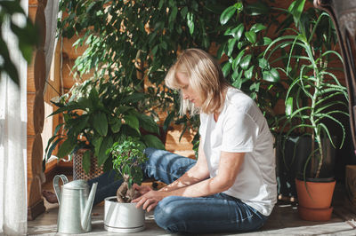 A beautiful blonde woman in beige clothes takes care of a ficus in a white pot. 