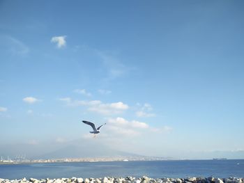 Seagull flying over sea against sky