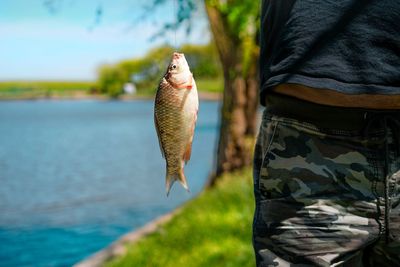 Person catching fish