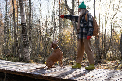 Rear view of man standing on boardwalk