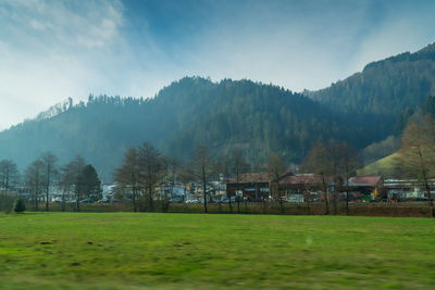 Scenic view of field against sky