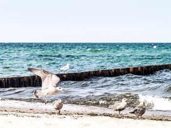 Scenic view of sea against clear sky