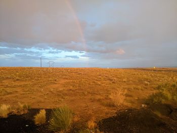 Scenic view of field against sky