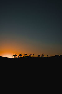 Silhouette people at sunset