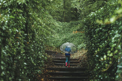 Girl with umbrella climbing stairs on a forest path