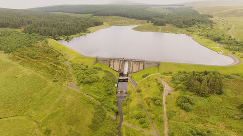 High angle view of grassy field
