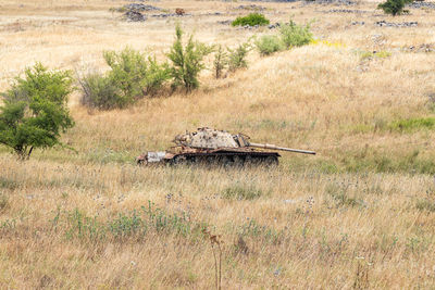 Abandoned motorcycle on field against trees