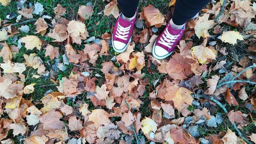 Low section of woman standing on leaves covered field during autumn