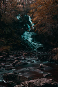 View of waterfall in forest
