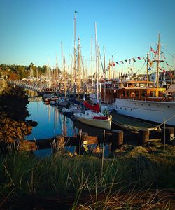 Boats moored at harbor