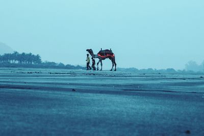 Men riding horse on field against sky
