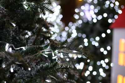 Low angle view of christmas tree at night