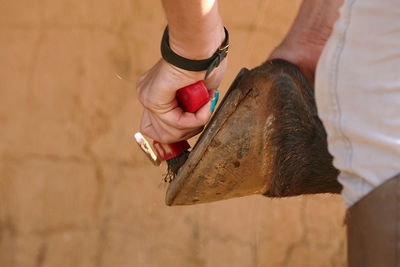 Woman brushing hoof outdoors