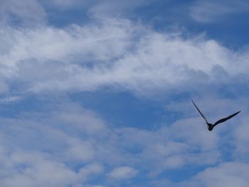 Low angle view of helicopter flying against sky