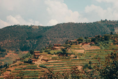 Scenic view of agricultural field against sky
