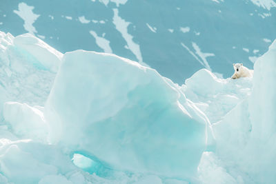 Full frame shot of ice floating on sea