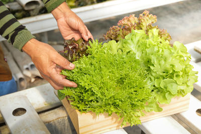 High angle view of man preparing food